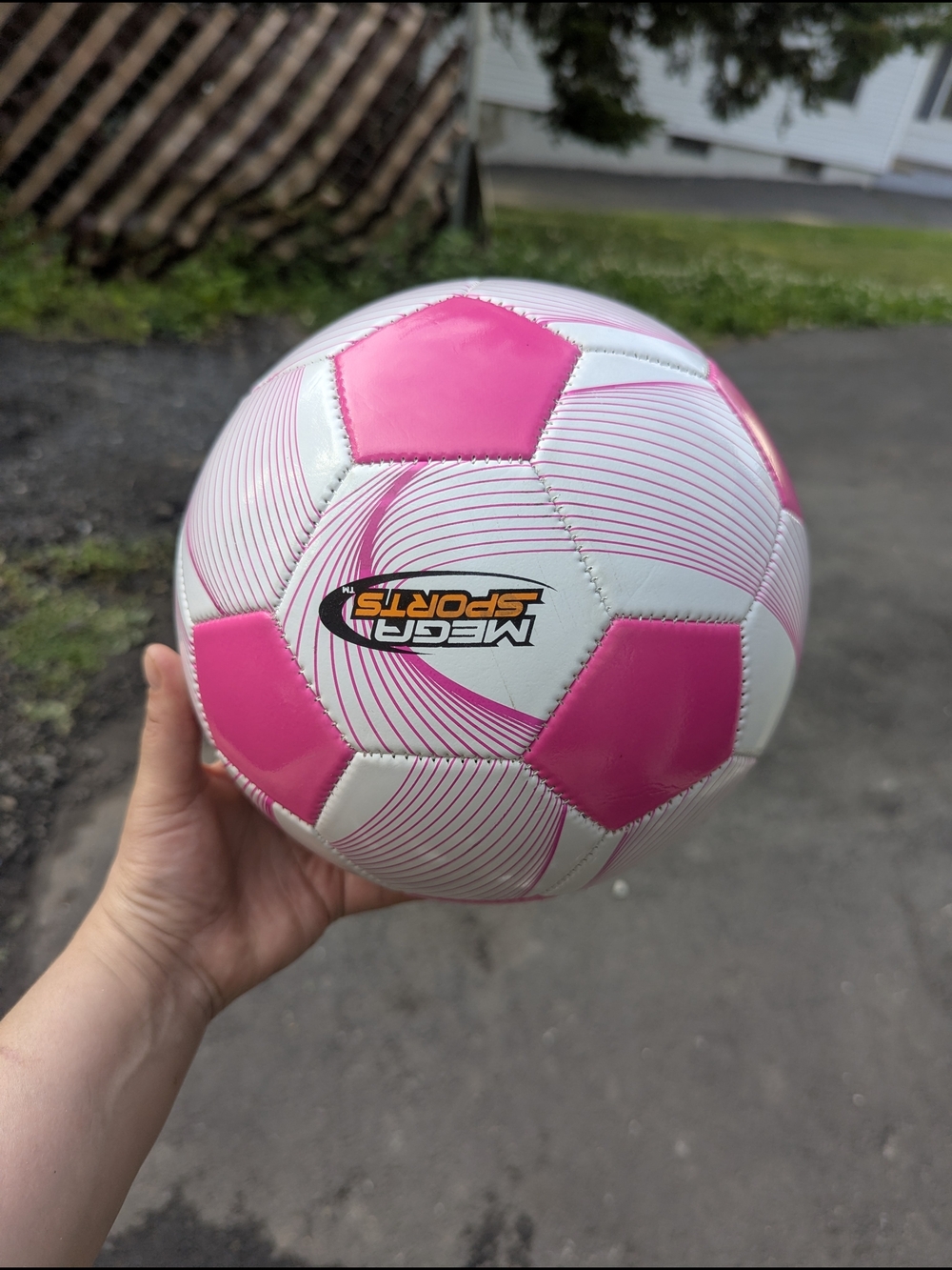 Pink & White Soccer Ball